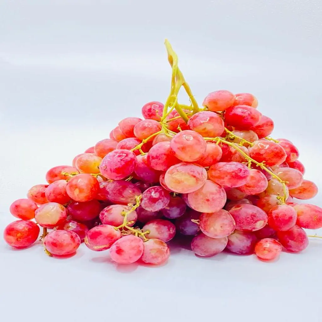 عنب أحمر إيطالي